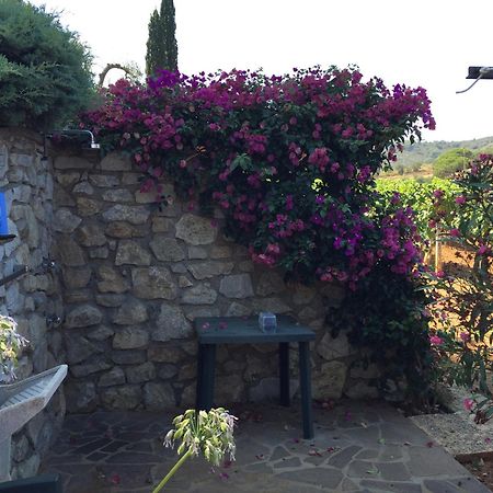 Studio-Appartment In Landhaus Mit Meerblick Porto Azzurro Exteriér fotografie